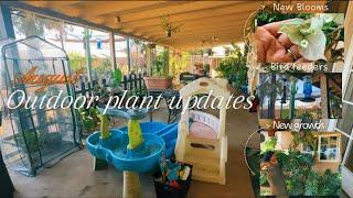 August outdoor planty updates 