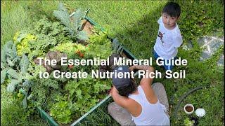 The Essential Mineral Guide to Create Nutrient Rich Soil