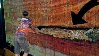 Rare Phenomenon! Red Glowing Black Wood Found During Sawing || sawmill