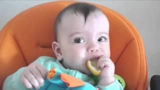 Прикольная подборка   дети едят лимон   Babies eating lemon 2015 0011