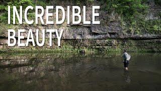 Most Scenic River in Illinois? So Many Smallmouth