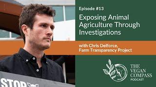 Exposing Animal Agriculture Through Investigations with Chris Delforce, Farm Transparency Project