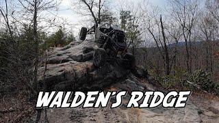 Windrock - Walden's Ridge (The Whole Trail)