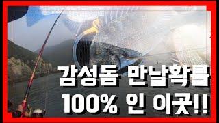 부산 가덕도 새바지 감성돔낚시 포인트구분없이 감성돔만날 확률 100%인 이곳!!