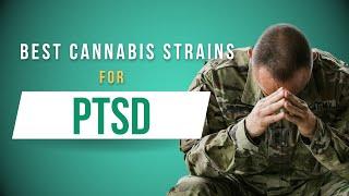 The best cannabis strains for PTSD