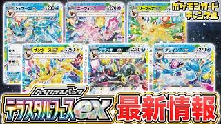 【ポケカ最新】イーブイから進化するポケモンexが一挙公開！新たなACE SPECやサポートの紹介も！【テラスタルフェスex/ポケモンカード】