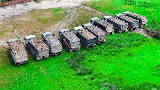 Amazing many Heavy Dump trucks Dumping soilrock Filling upLand pushing by Dozer KOMATSU & SHantui