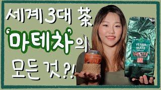 세계 3대 차 | 남미의 마테차 | 마테의 모든 것