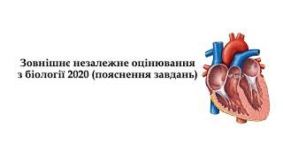 ЗНО з біології 2020. Пояснення завдань.