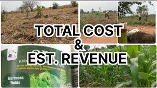  HOW TO MAKE OVER GH¢5,000 FROM ONE ACRE MAIZE FARM (TOTAL COST & EST. REVENUE) || ASHCo TV