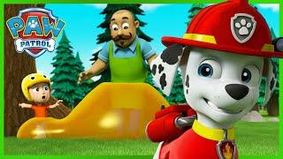 Marshall salva i campeggiatori ricoperti di sciroppo appiccicoso e altro ancora! PAW Patrol Italiano