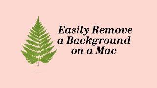 Easily Remove a Background on a Mac