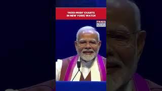 PM Modi In New York: Indian Diaspora At Nassau Coliseum Welcomes PM With 'Modi-Modi' Chants #shorts