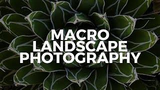 Behind the Scenes Macro Landscape Photography in Phoenix Arizona