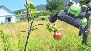 Первый урожай яблок в Курджиново! Много кошу новой зверь машиной GREENWORKS / Арстайл 2.0 /