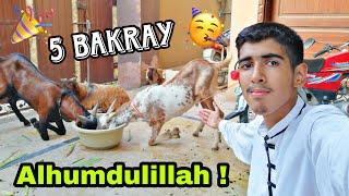 BAKRA EID VLOG 2023  QURBANI VLOG GOT EMOTIONAL  Ibrahim Asim | Bakray qurban krdiye Alhumdulillah