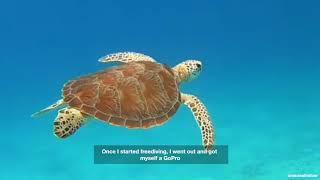 Freediver from Australia