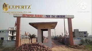 The Taj green site  EXPERTZ1 #expertz