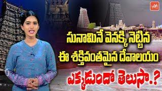 Special Story On Thiruchendur Subramaniya Swamy Temple | Thiruchendur Murugan Temple Facts | YOYO TV