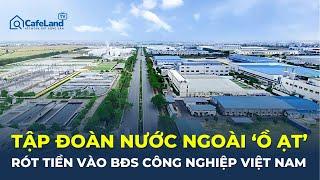 Tập đoàn nước ngoài 'Ồ ẠT' RÓT TIỀN vào bất động sản công nghiệp Việt Nam | CafeLand