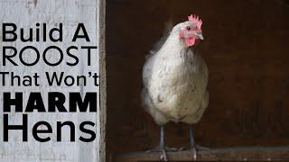How To Build A Chicken Roost That Won’t Harm Your Chickens