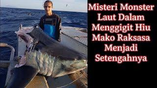 Misteri Laut Dalam: Monster yang Memutilasi Hiu Mako!