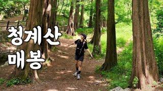 [Hiking] 서울 서초 청계산 등산 | 초보자도 쉽게 갈수있는 푸르른 청계산에 다녀왔습니다! | 코오롱솟솟 네임택 만들기 | 청계산 맛집가서 막걸리 뒷풀이 | 원터골 코스