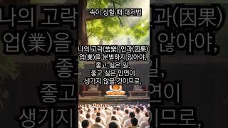 속이 상할 때 대처법 - 진우스님의 오늘의 명상  #불교 #진우스님 #명상