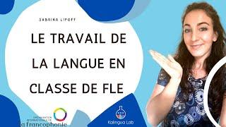 Grammaire et vocabulaire en classe de FLE