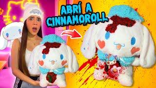 ABRÍ un PELUCHE de CINNAMOROLL y ME CONFESÓ algo ATERRADOR | Ani Cat