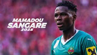 Mamadou Sangaré - Midfield Dynamo  2025ᴴᴰ