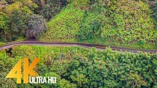 Road to Hana. Part #1 - 4K Scenic Drive Video (with Music) 3 HRS - Hawaii, Maui