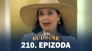 Igra sudbine | Sezona 01 | Epizoda 210 (domaća serija)