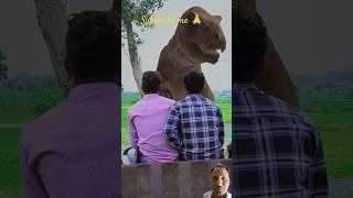 magical pencil  #shorts #funny #comedy #yogeshshorts870