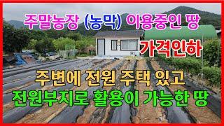 660 주말농장으로 이용 중인 포항전원주택부지매매 농막이 설치되어 있는 기계전원주택부지매매 도로에 잘접해 있는 문성리전원주택부지매매 포항부동산 기계부동산 지목부동산 포항땅매매