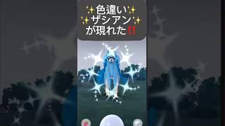 【ポケモンGO】色違いザシアンが現れた!!【Shiny Zacian Pokémon GO】