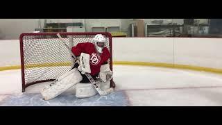 Angles - Hockey Goaltending