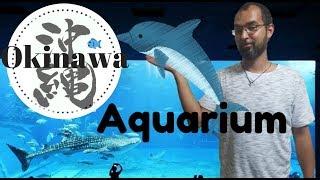 Okinawa Places To Visit: Churaumi Aquarium/ Second largest Aquarium In The World