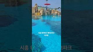 시흥 워터파크 웨이브파크 다이빙