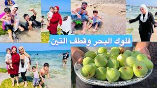 رحنا عالبحر وقطفنا التين من أشجار بيتنا