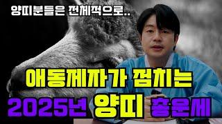 갓 신내린 애동제자가 점치는 2025년 을사년 양띠 총운세, 나이별 운세