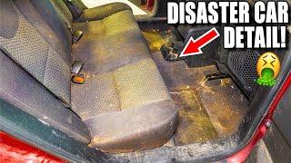 Cleaning a DISGUSTING Car Full of PEE!