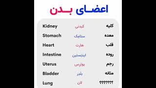 اعضای بدن سریع انسان بیاموزید!