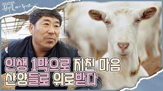 산양과 함께 행복해지기 위해 끊임없이 노력한 김운혁씨  I 원더풀 마이 라이프 I EP14 I 매주 수요일 저녁 8시 30분