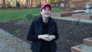 What You Need In Your Garden Toolbox | Gardening with Creekside