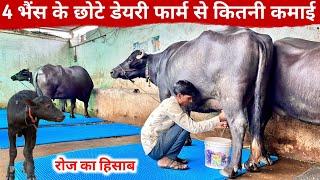 How much milk does it cost every day? How much money is earned from 4 buffaloes. Dairy Farming Income