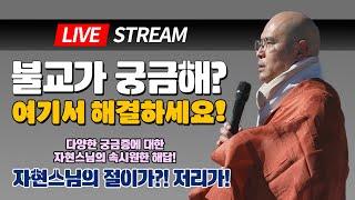 궁금한 각종 문화들의 속 시원한 해답. 자현스님의 절이가!? 저리가?! 3월 10일 생중계