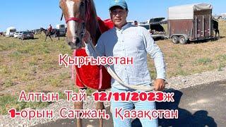 Алтын Тай 12/11/2023ж Қырғызстан, 1-орын Сәтжан, Қазыбек, Луговой, Қазақстан