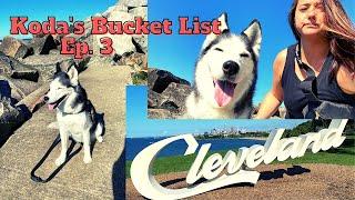 Koda's Bucket List Episode 3 - Exploring Lakewood Park and Edgewater Park - Cleveland, Ohio