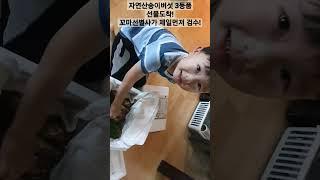 자연송이 3등품 개봉~! 송이버섯먹고 암예방하기#항암에좋은음식#국산송이버섯#자연송이